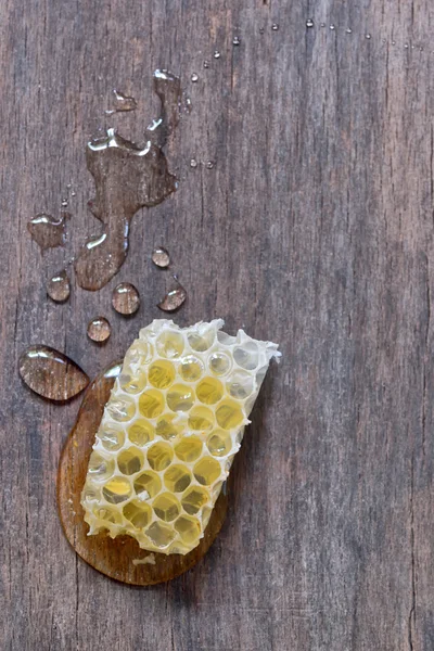 Plástev a medu — Stock fotografie