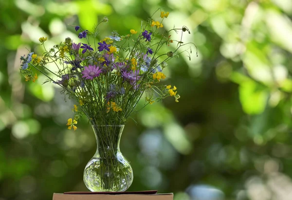 Літні Польові Квіти Вазі Над Книгою — стокове фото
