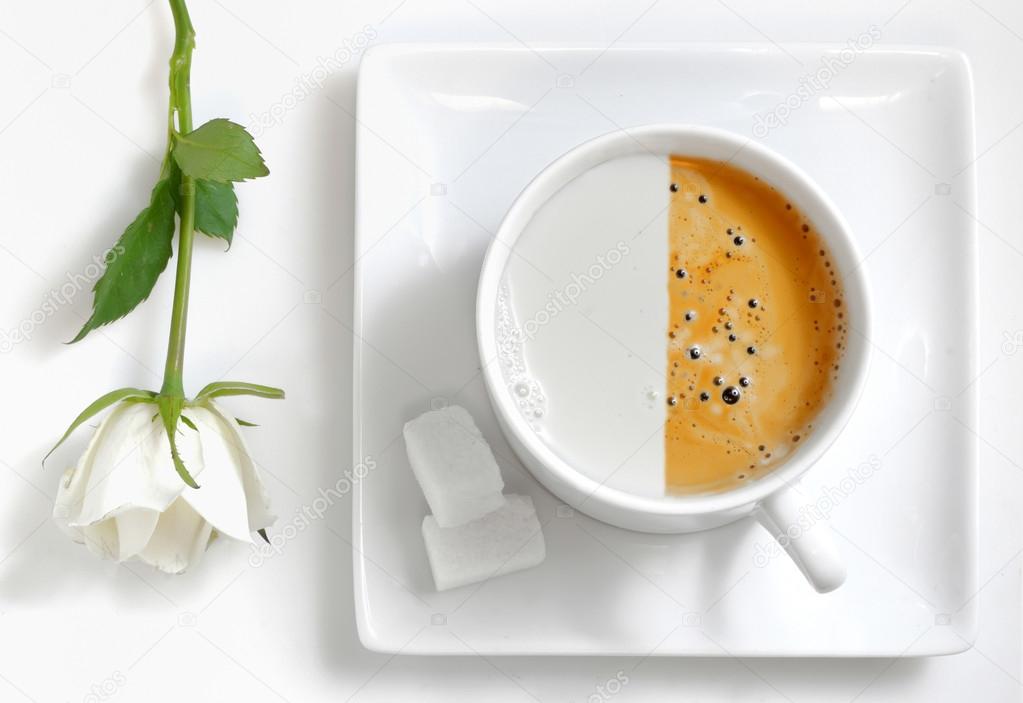 Half Coffee Half Milk Cup Of Coffee Stock Photo Image By C Icarmen13 Half Coffee Half Milk Cup Of Coffee Stock Photo Image By C Icarmen13