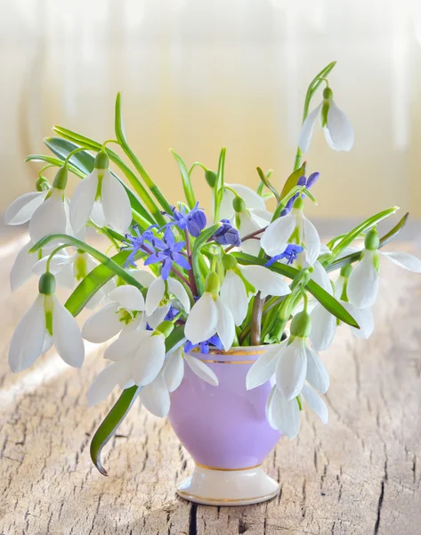 Snowdrops in vase on old wood — Stock Photo, Image