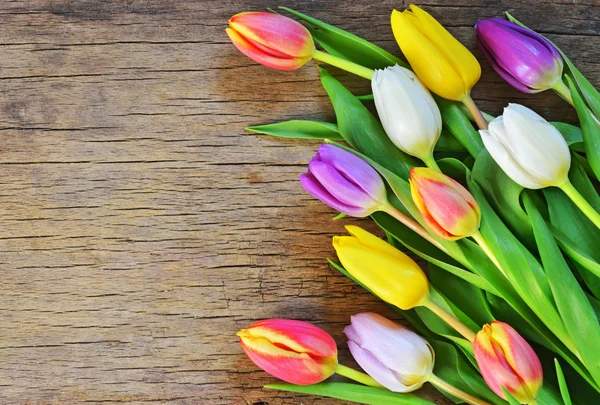 Strauß bunter Tulpen über rustikalem Holz — Stockfoto