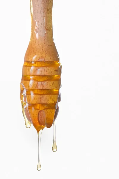 Honey dripping — Stock Photo, Image