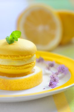 sarı limon macaron