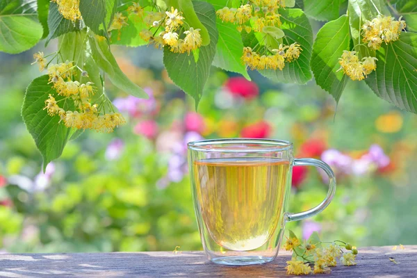 Linden tea in a glass cup — Stock fotografie