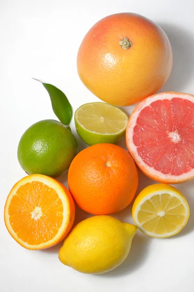 Citrus fruits isolated — Stock Photo, Image