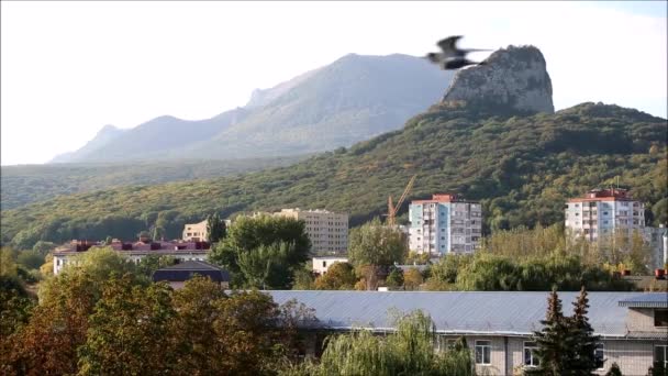 Güzel bir apartmanın penceresinden güzel bir manzara.. — Stok video