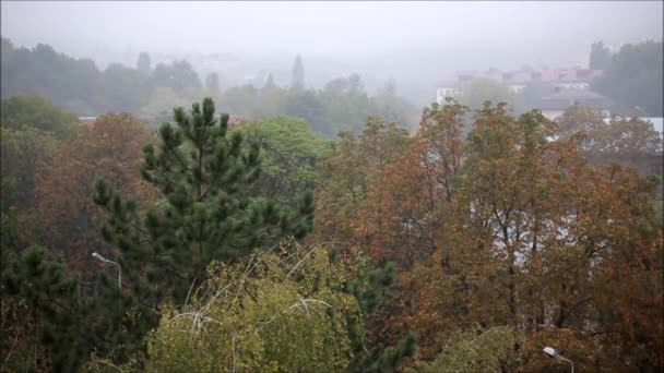 Prachtig uitzicht vanuit het raam van mijn huis. Herfst regen en mist. — Stockvideo