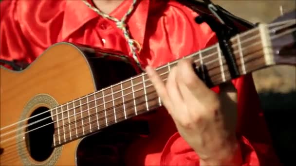 Kırmızı tişörtlü bir müzisyen açık havada gitar çalar.. — Stok video