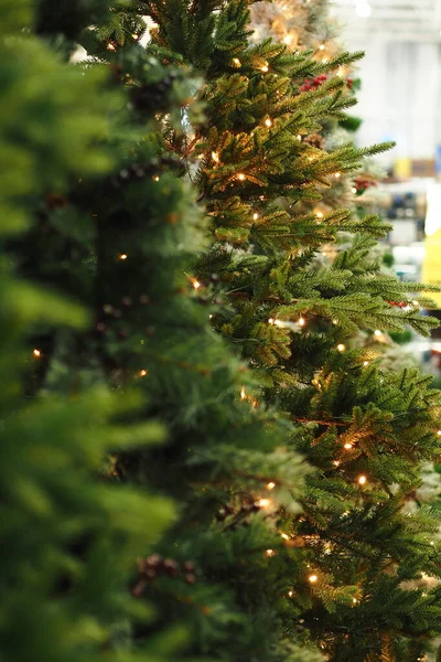 Noël ou Nouvel An fond. Vente d'arbres de Noël dans le magasin.fond Bokeh. — Photo