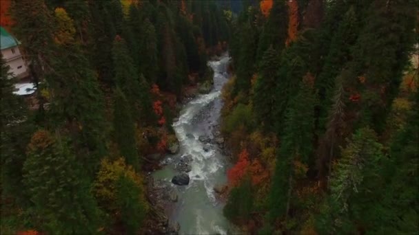 Mountain river. Shooting from a copter. The beautiful nature of the North Caucasus. — Stockvideo