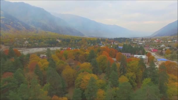 Złota jesień. Strzały z helikoptera. Piękny jesienny krajobraz. — Wideo stockowe