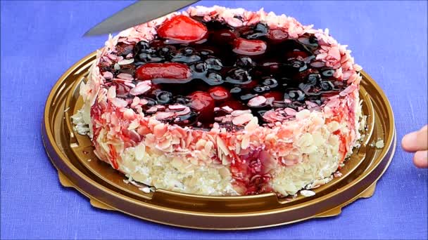Krásný lahodný dort, ovocný tvarohový dort. — Stock video