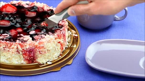 Piękne pyszne ciasto, sernik owocowy. — Wideo stockowe