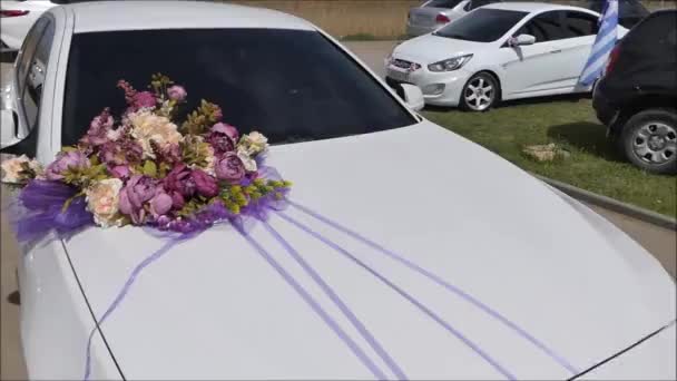 Een witte bruiloft auto versierd met een ruiker van levende lila bloemen. — Stockvideo