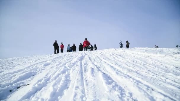 Winter fun. Sledging in winter. A girl in bright clothes rides a sled from a mountain. — Vídeo de stock