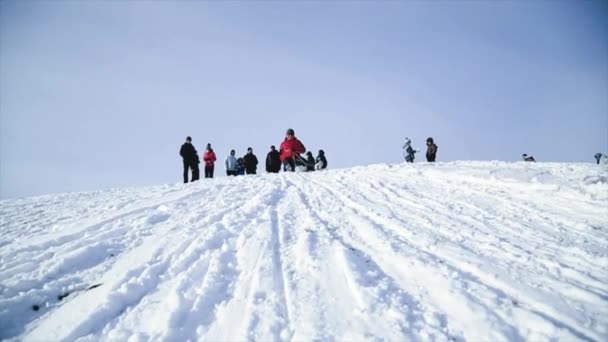 Χειμερινή διασκέδαση. Άνθρωποι έλκηθρο από το βουνό το χειμώνα. — Αρχείο Βίντεο