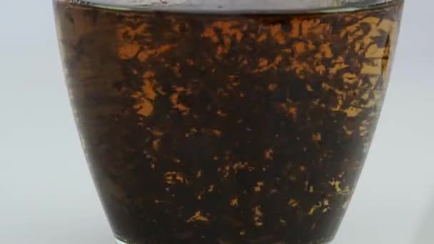 Zwarte bladthee, kokend water in een doorzichtig kopje of glas. — Stockvideo