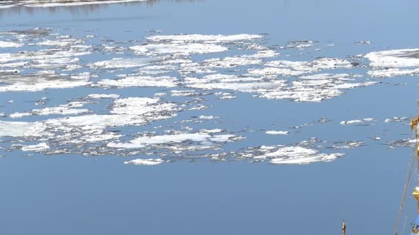 Hielo en la primavera en el río. el hielo se está partiendo y fluyendo. — Vídeo de stock