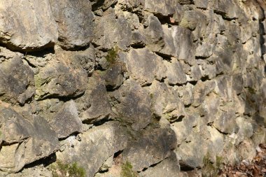 Taş duvar, doğal taş çit..