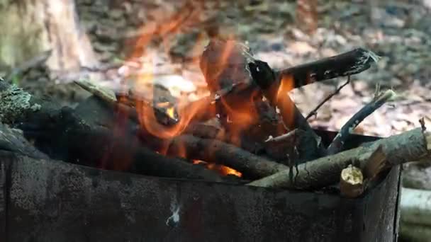 The wood is burning in the barbecue in nature. — Stock Video