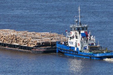 The barge transports cargo, timber logs along the river in summer. clipart