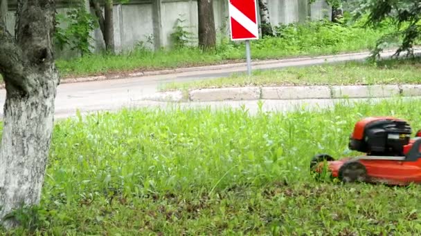 Kosiarka. Ogrodnik kosi trawę na trawniku kosiarką. — Wideo stockowe