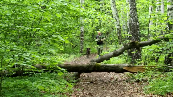 Mężczyzna biegnie w lesie ścieżką latem z psem. Zdrowy styl życia. Aby trenować — Wideo stockowe