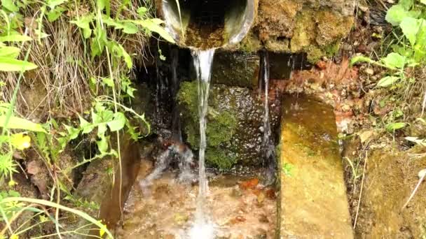 L'eau de source naturelle et pure coule d'un tuyau dans le sol. — Video