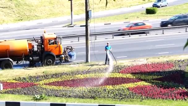 Russia, Nizhny Novgorod, Gagarin Avenue, 06.19.2021. Un hombre riega una cama de flores en la ciudad con un riego — Vídeo de stock