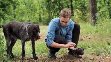 Genç bir adam yazın ormanda bir köpekle yürür ve koni toplar..