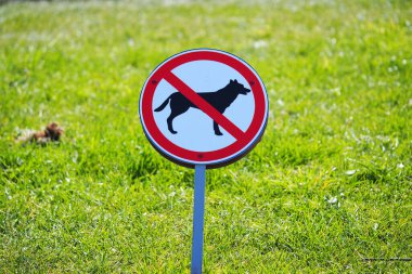 Köpek gezdirmek yasaktır. Köpek yetiştiricileri için uyarı işareti. Yüksek kalite fotoğraf