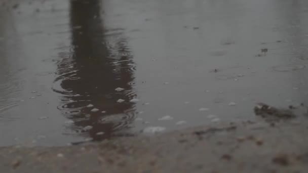 Een man in rubberen laarzen loopt door een plas in de herfst. — Stockvideo