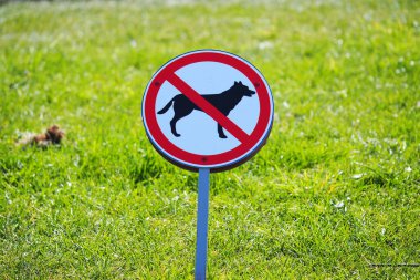 Köpek gezdirmek yasaktır. Köpek yetiştiricileri için uyarı işareti. Yüksek kalite fotoğraf