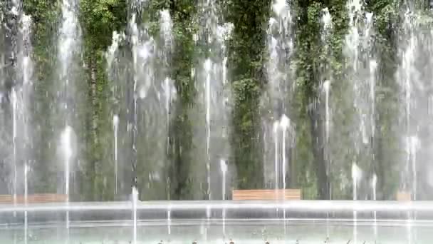 Hermosa fuente en el parque de la ciudad en verano . — Vídeos de Stock