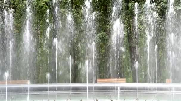 Bella fontana nel parco cittadino in estate . — Video Stock