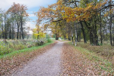 Sonbahar park yolundaki kir.