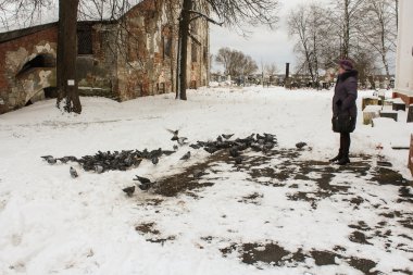 Kilise mezarlığına güvercinlerin.