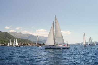 Su üzerinde birçok yatlar.