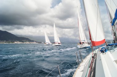 Bir bulutlu gökyüzü yarış altında yelken sporu.