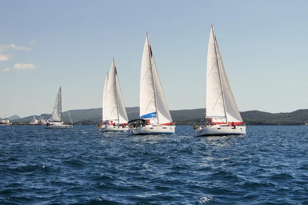 Raden av yachter under segel. — Stockfoto