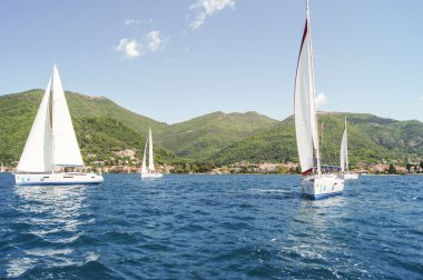 Yeşil dağların arka planında Yatlar.