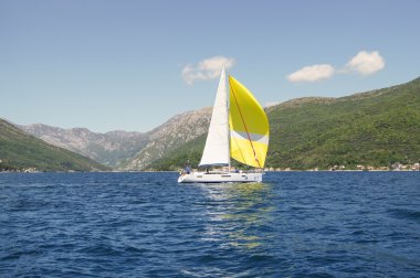 Beyaz ve sarı yelken ile yat.