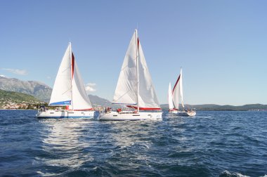 Regatta sırayla yerleştirir.
