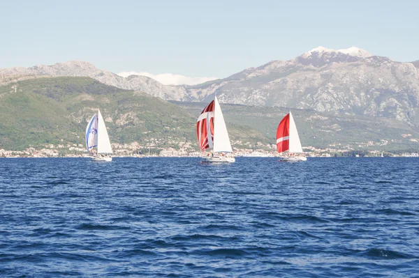 Dağ sahilinde yer alan regatta. — Stok fotoğraf