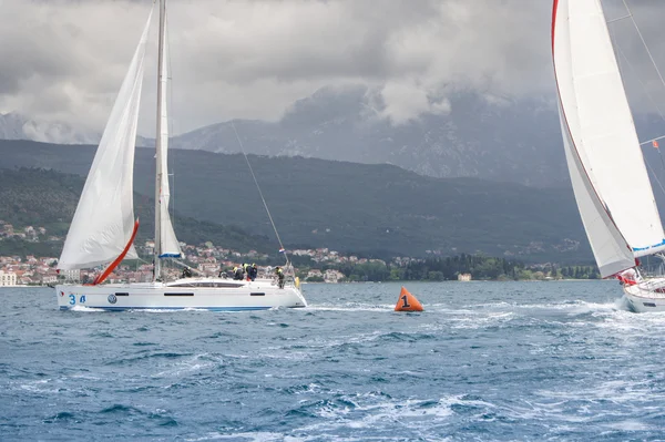 Yatlar şamandıra dağıtılır.