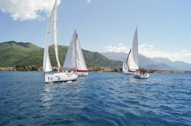 Su üzerinde grup yatlar.