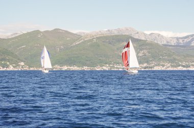 Dağ kıyısının arka planında yatlar.