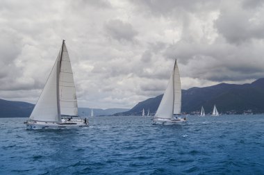 Körfezdeki yat yarışı..