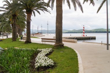 Palmiye ağaçları ile sarma mesire.