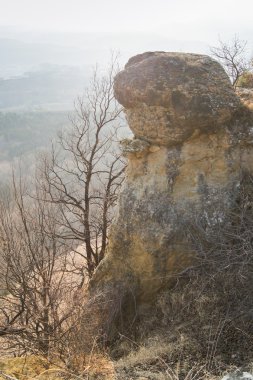 Taş uçurumun tepesinde.